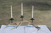 Elk Antler Forged Iron Candle Obra
